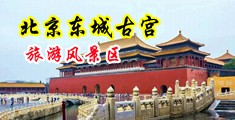 巨色色中国北京-东城古宫旅游风景区